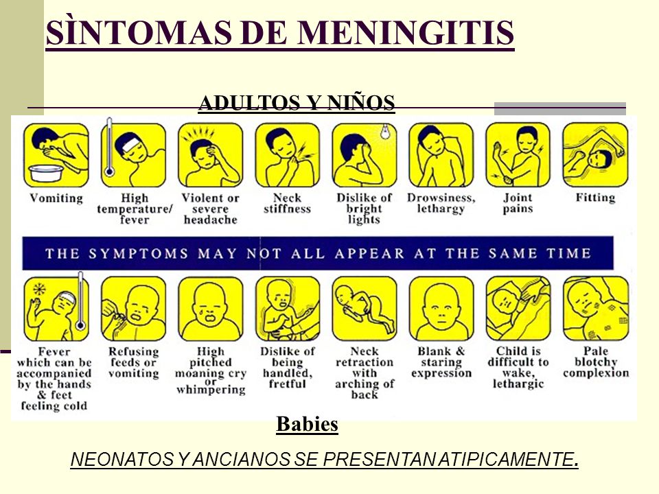 Sintomas de meningitis en adultos Sintomas de meningitis en adultos